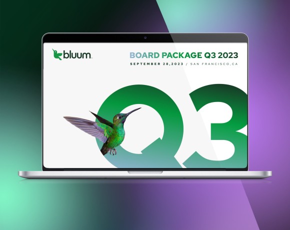 Bluum Quarterly Board Deck